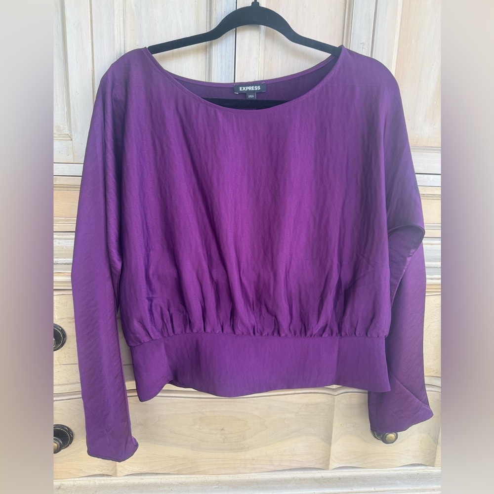 EXPRESS Silk Women's Purple Top